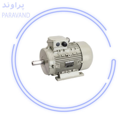 ویژگی های مهم الکتروموتورهای معمولی /پراوند