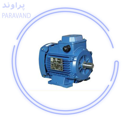 الکتروموتور معمولی TEFC/پراوند