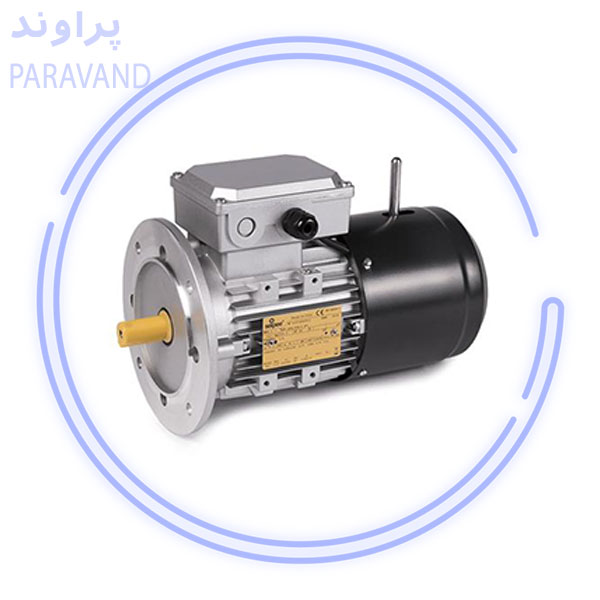 معرفی الکتروموتور SEIPEE/پراوند