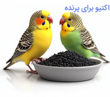 زغال اکتیو برای پرنده/پراوند-تامین تجهیزات ومواد تصفیه آب