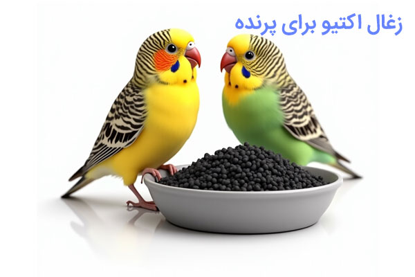 زغال اکتیو برای پرنده/پراوند-تامین تجهیزات ومواد تصفیه آب