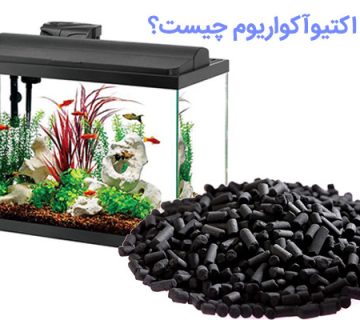 زغال اکتیو آکواریوم چیست و چه کاربردی دارد/پراوند-تامین تجهیزات صنعت آب کشور