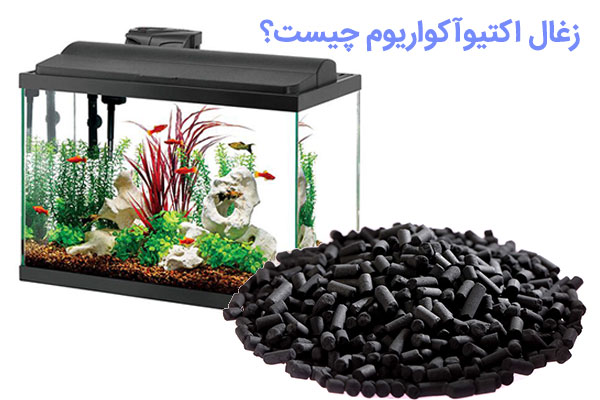 زغال اکتیو آکواریوم چیست و چه کاربردی دارد/پراوند-تامین تجهیزات صنعت آب کشور
